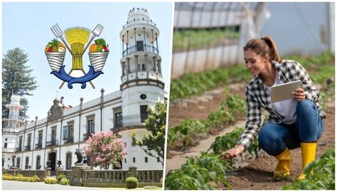 Carreras De Chapingo Qu Se Puede Estudiar En La Uach Chapingueros