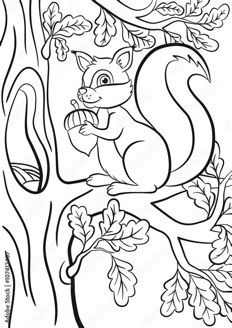 Coloring page. Little cute squirrel sits on the banch of a tree. The squirrel smiles and holds ...