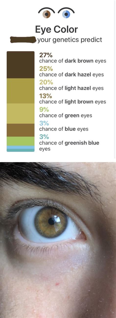 Predicted Vs Actual Eye Color Both Of My Parents Have Dark Hazel Eyes