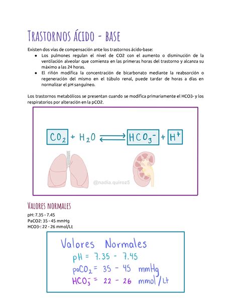 Solution Trastornos Cido Base Studypool