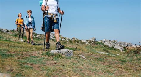 Dartmoor Guided Walking Experience - Visit Devon