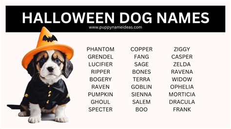 165+ Halloween Dog Names - Puppy Name Ideas