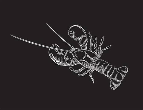 330+ Lobster Boat Drawing Stock Illustrations, Royalty-Free Vector ...