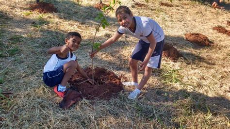 Saev Ambiental Educação Ambiental