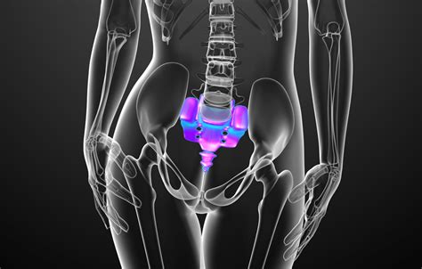 Sacrum and Chronic Pain | Pain Expert Kelly