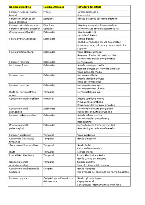 Anato Musculo Actividad 4 Nombre Del Orificio Nombre Del Hueso