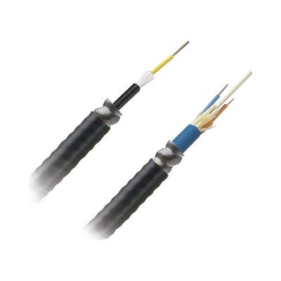 PANDUIT FOGRZ12Y Cable De Fibra Optica De 12 Hilos Multimodo OM4 50 125