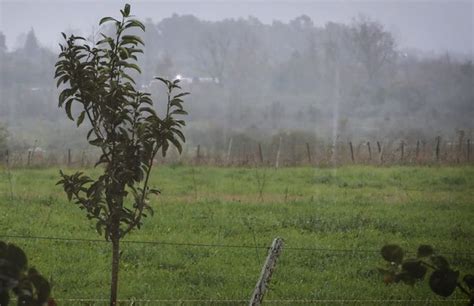 El Norte Bajo Agua Rige Alerta Naranja Y Amarilla Por La Persistencia