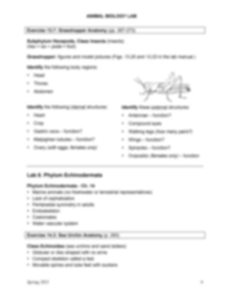 SOLUTION BIOL 1604 Lab 7 9 Phylum Arthropoda Phylum Echinodermata