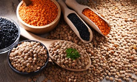 AGT Foods - Lentils