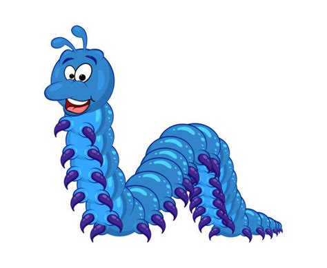 Cartoon Of The Millipedes Illustrations Royalty Free Vector Graphics