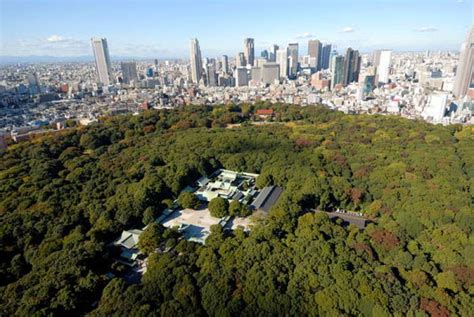 Meiji Shrine Memory Of The Sacred Forest Tokyo Private Tours