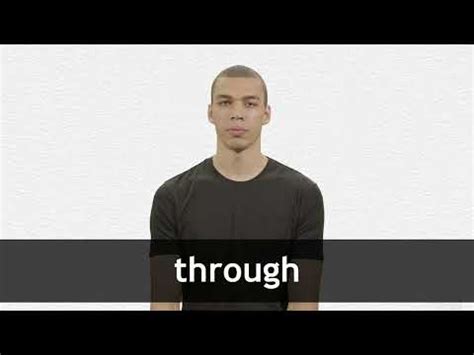 definition translations collins english dictionary