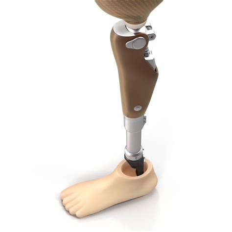 Prosthetic Leg 3d Model 39 3ds C4d Fbx Ma Obj Max Free3d