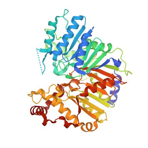 RCSB PDB 3HSI Crystal Structure Of Phosphatidylserine Synthase