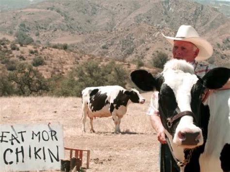 Meet The Cows Behind Chick Fil As Most Successful Campaign Business