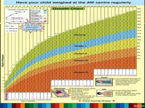 Growth Chart Interpretation