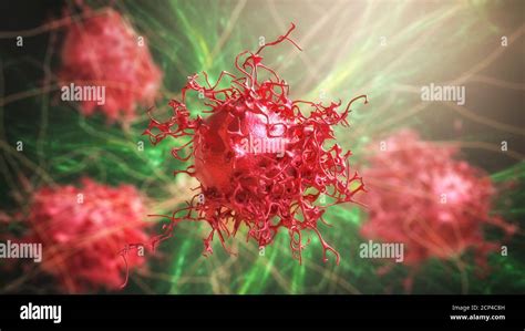 Cervical Cancer Cells Hi Res Stock Photography And Images Alamy