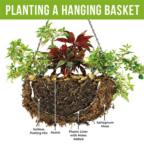 How To Plant A Hanging Basket Garden Gate