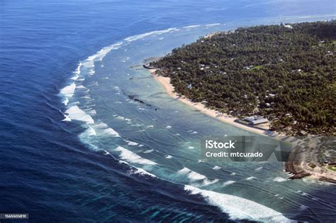 church  jesus christ  latterday saints temple  beach temwaiku