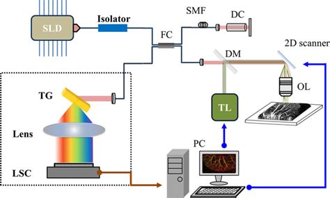 Schematic Of Setup For Oct Guided Laser Microsurgery Sld Download Scientific Diagram