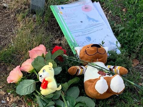 Bambino Morto A 5 Anni Sotto Gli Occhi Della Mamma