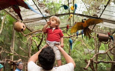 Parque das Aves foz do iguaçu paraná viagem crianças Não