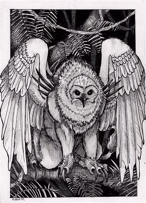 Kikiyaon African Cryptid A Huge Owl That Had Enormous Talons And