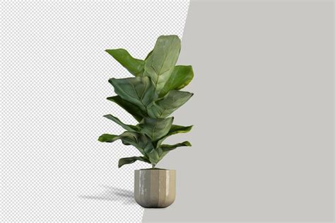 Render De Planta Isolada Em Vaso Isolado PSD Premium