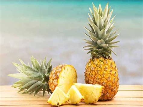 Is Pineapple a Fruit or Vegetable | Organic Facts