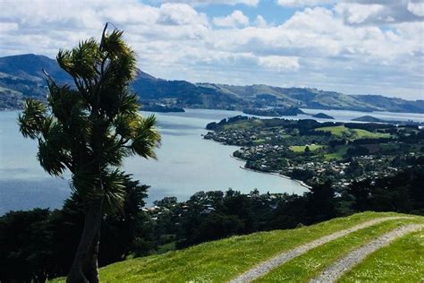 Shore Excursion Dunedin City Otago Peninsula Castle Gardens