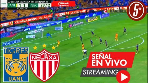 Tigres Vs Necaxa En Vivo Ver Partido Tigres Vs Necaxa En Vivo