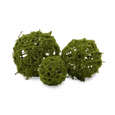 Topiary, Floral wall decor, Accent decor