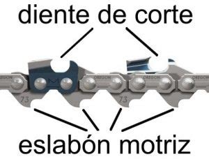 Como S Cual Es La Cadena De Mi Motosierra Blog Huertotec