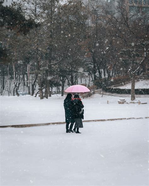 Korea Winter Photos, Download The BEST Free Korea Winter Stock Photos ...