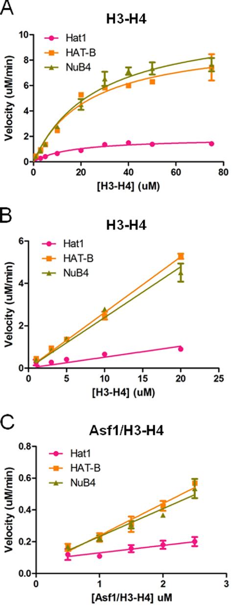 Figure 1 From Dissecting The Molecular Roles Of Histone Chaperones In