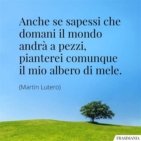 Frasi Sugli Alberi In Inglese E Italiano