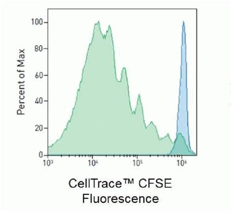 Generational Tracing Using Celltrace™ Cfse Thermo Fisher Scientific Cn