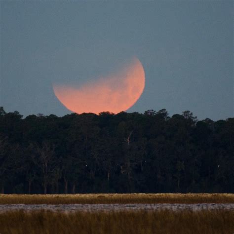 Blue supermoon lunar eclipse captivates photographers - CNET