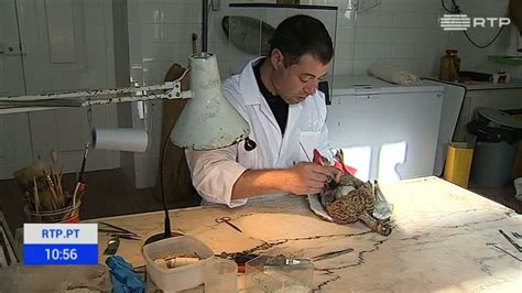 Taxidermista O Que É - "Outras Histórias" mostra trabalho do único taxidermista dos quadros ...