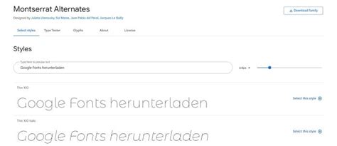 Google Fonts Lokal In Wordpress Einbinden Seo K Che