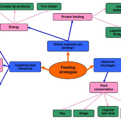 Pdf Small Ruminant Production And Management Techniques