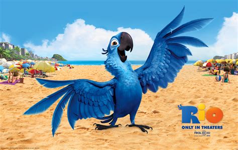 Spix's Macaw Family/Gallery | Rio Wiki | FANDOM powered by Wikia