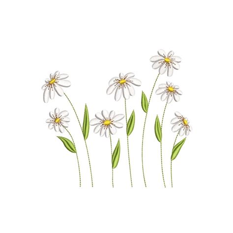 Daisy Flowers Machine Embroidery Design 4 Sizes Instant Do Inspire