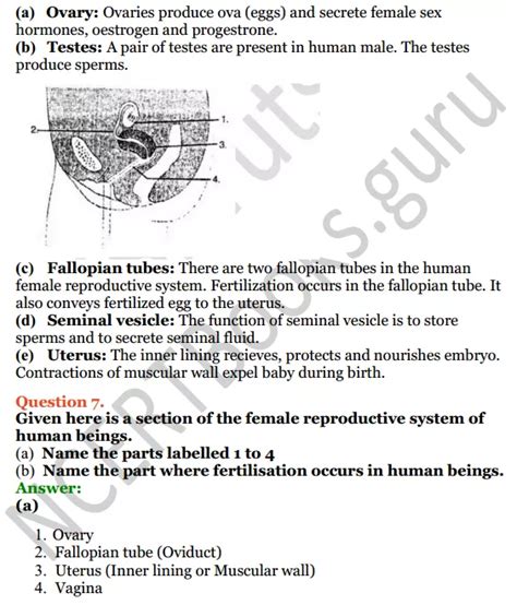 Selina Concise Biology Class 8 ICSE Solutions Chapter 3 Reproduction In