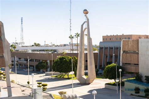 El Cactus Monumental De La Expo 92 La Joya Botánica Que Resiste En La