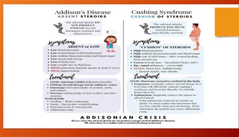 Week 11 Addisons Disease Siadh Di Cushings Syndrome Flashcards Quizlet