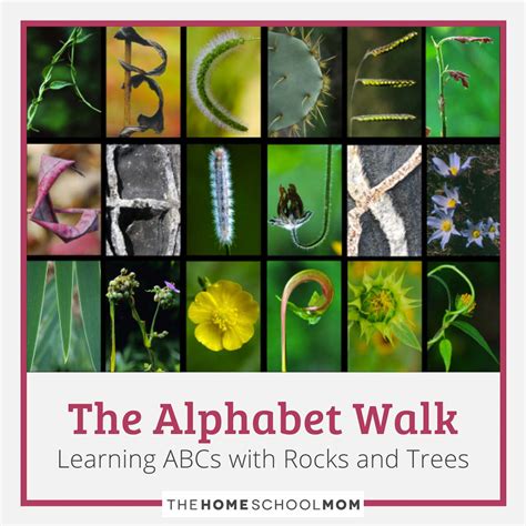 Alphabet Letters In Nature