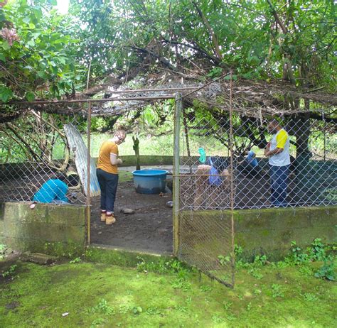 Exotic Animal Rescue Center Helper | Volunteer in Guatemala 2025