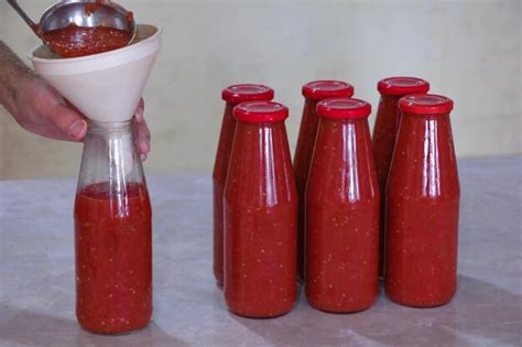Making Tomato Juice: A Simple Guide - Hunter Games Magazine